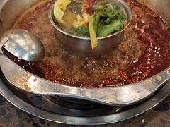 -金鼎雪山牦牛杂火锅(理县总店)