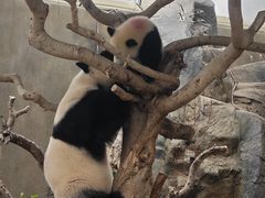 -香港海洋公园