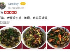 -遇龙河大樟树农家乐