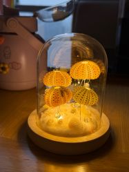 -贝瑞佳月子会所(杭州旗舰店)