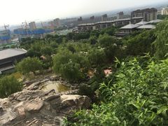 -鹦鹉寺公园