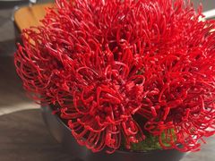 -潇湘楼·二十四节气山野菜(亚运村店)