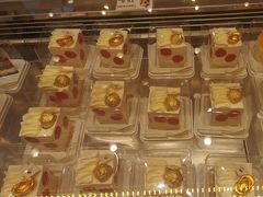 -喜莲娜动物奶油生日蛋糕(箭盘店)