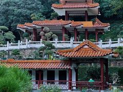 -深圳仙湖植物园