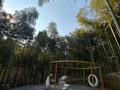 -东明山森林公园