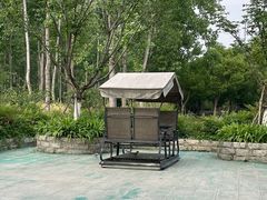 -合肥滨湖国家森林公园