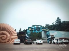 -梦幻奥陶纪景区