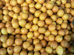 -全而廉(靖宇中路店)