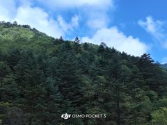 -神农架景区