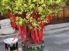 门面-正阳门饭庄·烤鸭·北京菜(万丰路七里庄店)