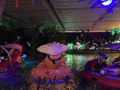 -南宫五洲植物乐园