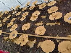 -清真·锦翔炝锅鱼(明德门店)