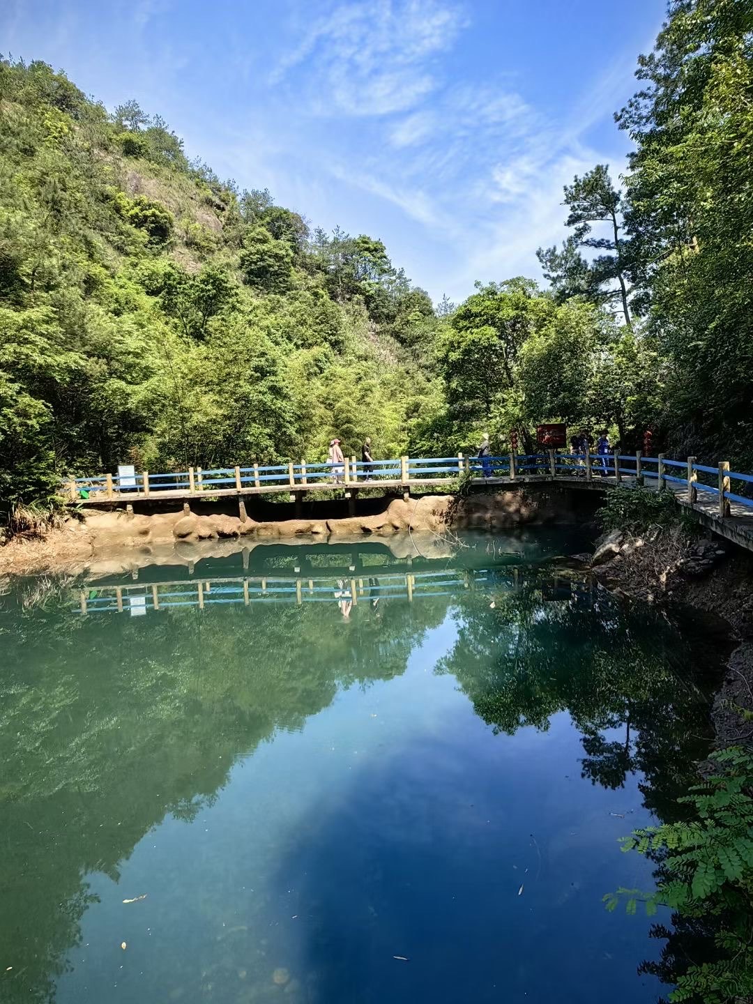 🌿【浙江永康 虎踞峡】🌿