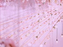 -美薇亭婚礼顾问
