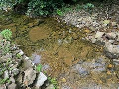 -天明山温泉大酒店