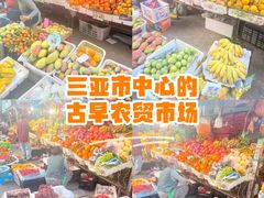 -金鸡岭农贸市场