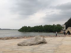 -宝安西湾红树林湿地公园