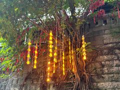 -重庆十八梯传统风貌区