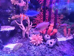 -沈阳海洋探索中心