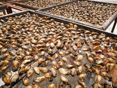 蚝干-蚝乡农庄(铁涌赤岸店)