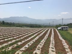 -白鹿原影视城