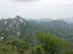 -大岭沟猕猴桃谷风景区