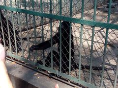 -秦皇岛野生动物园
