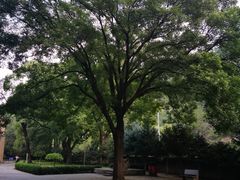 -延安杨家岭革命旧址