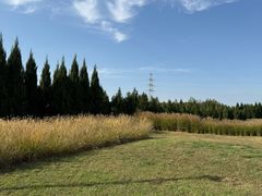 -汉长安城未央宫国家考古遗址公园