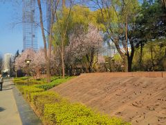 -木塔寺遗址生态公园