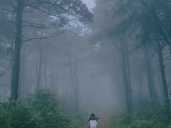 -缥缈峰景区