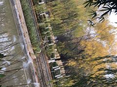 -杭州电子科技大学(下沙校区)