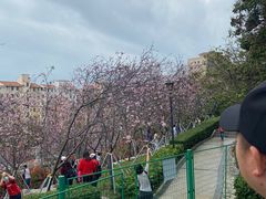 -小南山公园