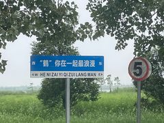 -盐城丹顶鹤湿地生态旅游区