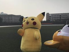 -西南政法大学(渝北校区)
