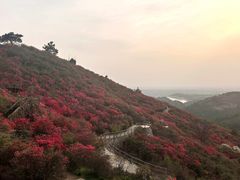 -木兰云雾山