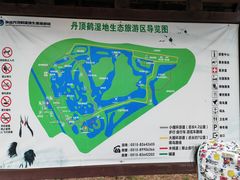 -盐城丹顶鹤湿地生态旅游区