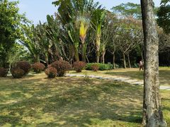 -深圳湾公园(南山区)