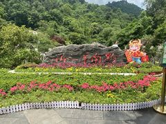 -黔灵山公园