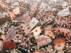 -非烤勿扰韩料自助烤肉(松山湖万科店)