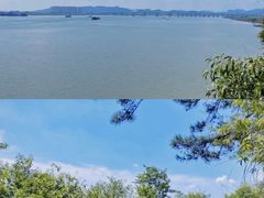 -羚羊峡古栈道森林公园