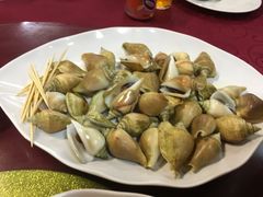 贡贡-Golden Prawn 933