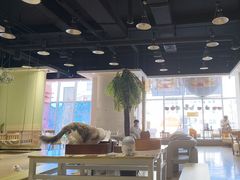-藏猫猫咖啡主题馆(中央大道店)