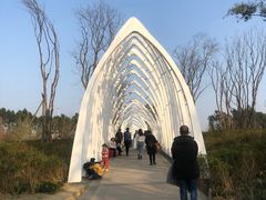 -白鹭湾湿地公园