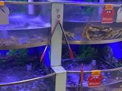 -七欣天香辣蟹火锅(海门解放中路店)
