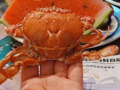 -亚马逊蒸汽活海鲜自助(LCM置汇旭辉广场店)