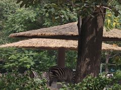 -北京动物园