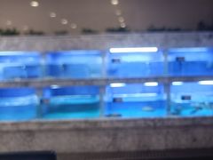 -香山湖渔家大院