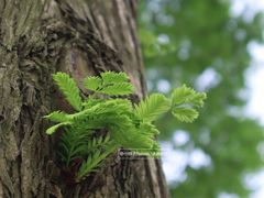 -东钱湖旅游度假区