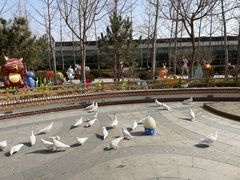 -南宫五洲植物乐园